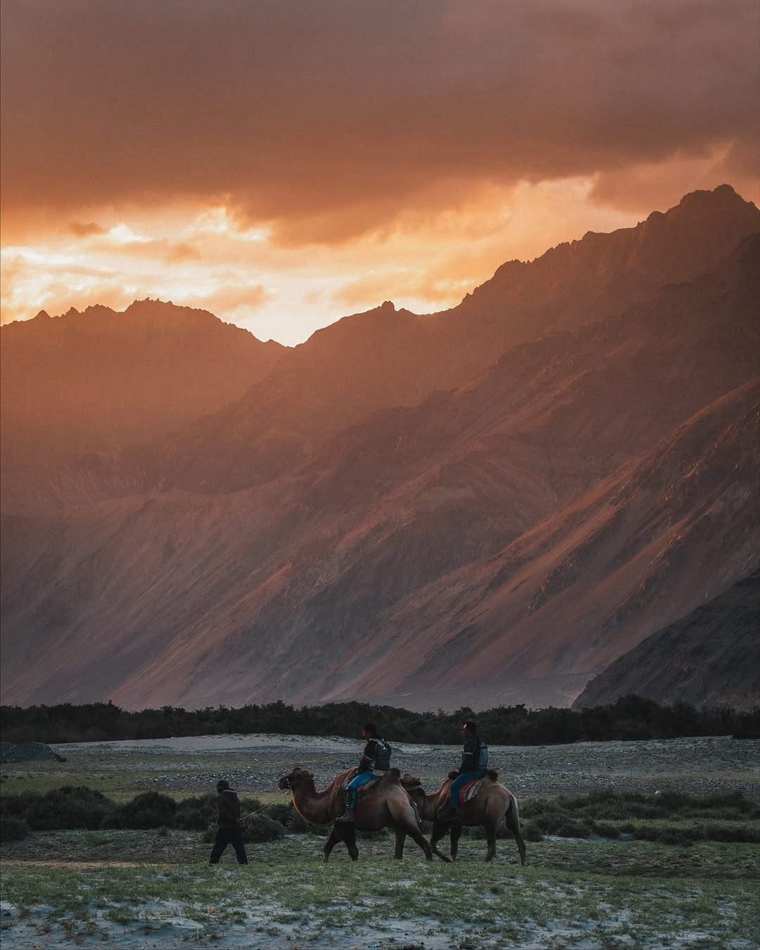 ทะเลทรายนูบลา ดินแดนแห่งขุนเขาและสายลม กลางหุบเขาสูงของเลลาดักห์ (Leh Ladakh) ยังมี “ทะเลทรายกลา (2)