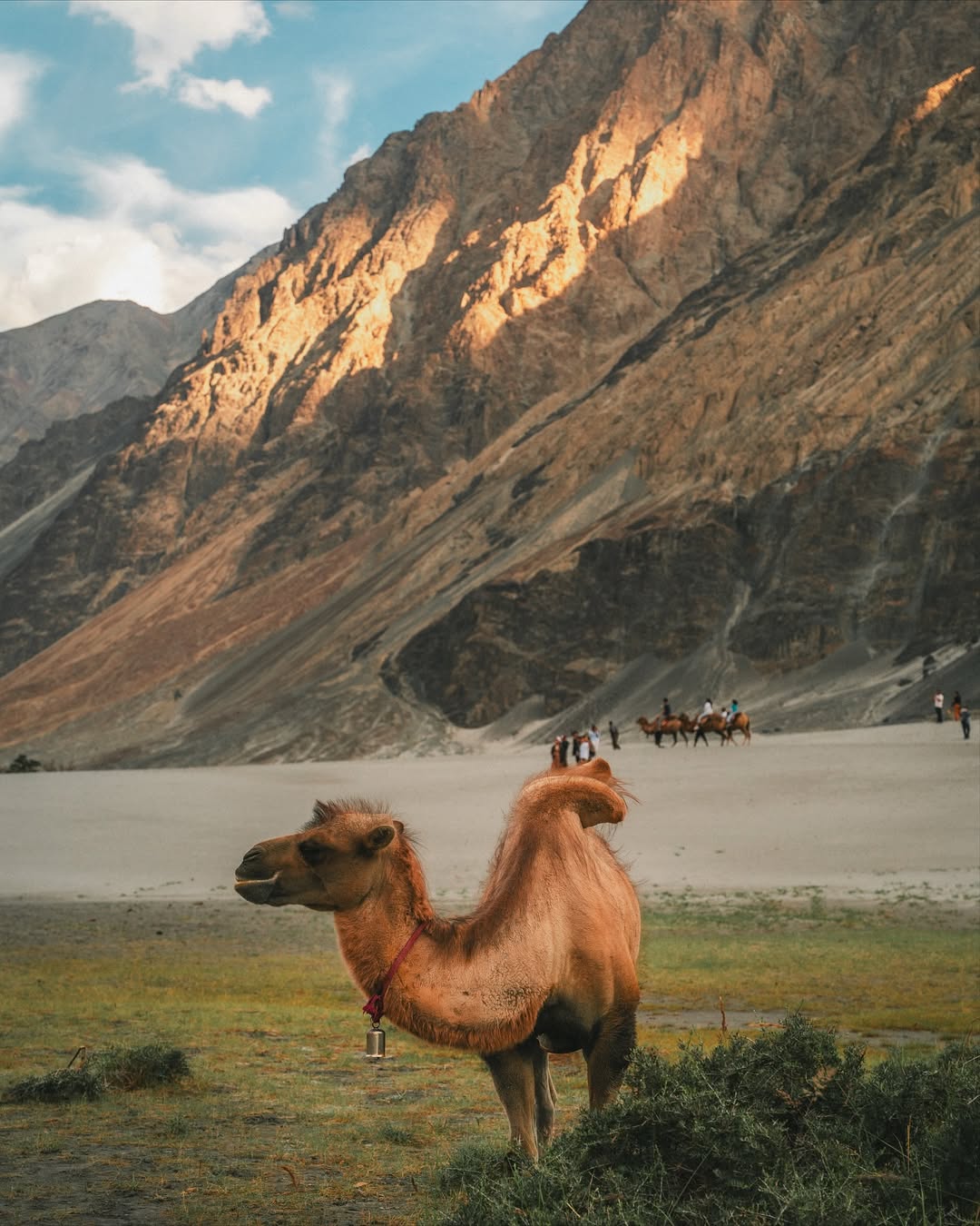 ทะเลทรายนูบลา ดินแดนแห่งขุนเขาและสายลม กลางหุบเขาสูงของเลลาดักห์ (Leh Ladakh) ยังมี “ทะเลทรายกลา (3)